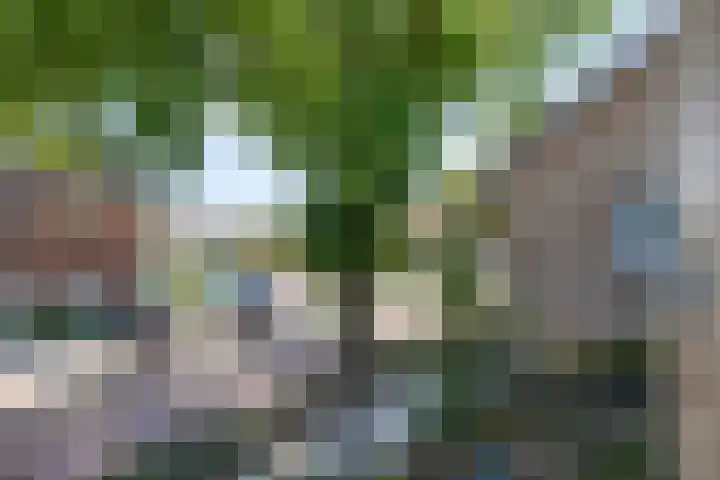 Nieuwstraat 3 Rosmalen thumbnail 23