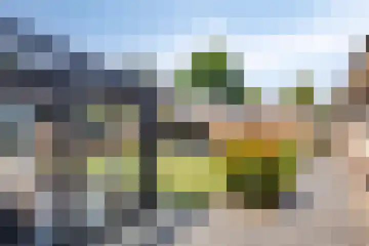 Nieuwstraat 3 Rosmalen thumbnail 30