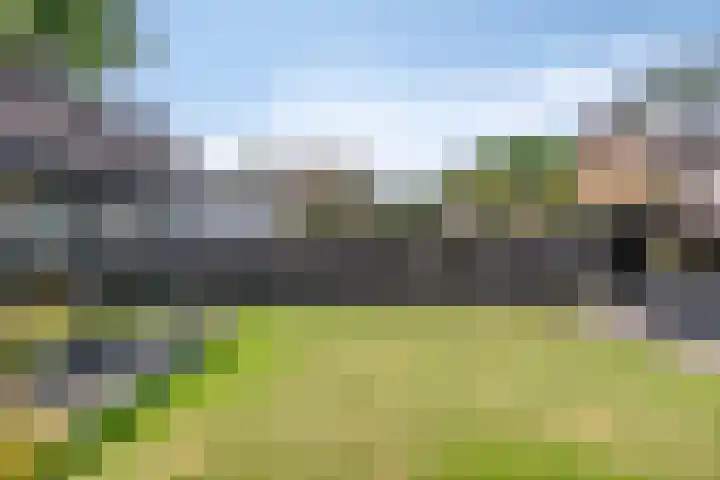 Nieuwstraat 3 Rosmalen thumbnail 31