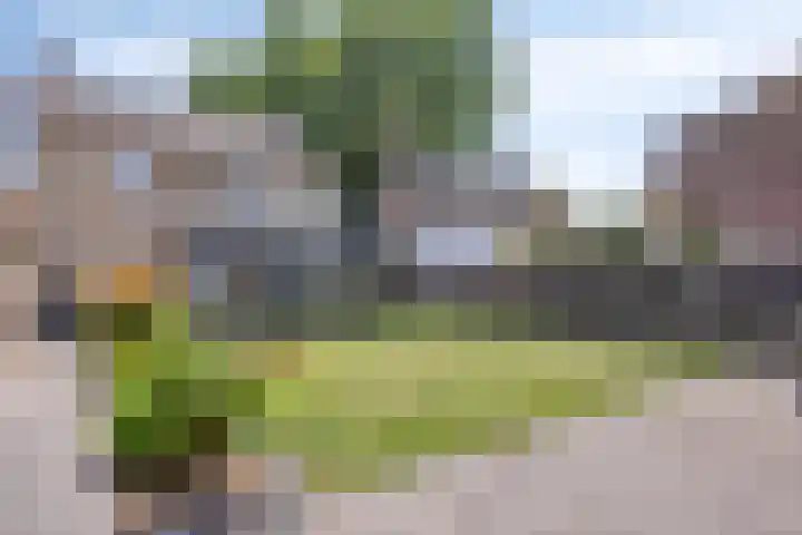Nieuwstraat 3 Rosmalen thumbnail 32