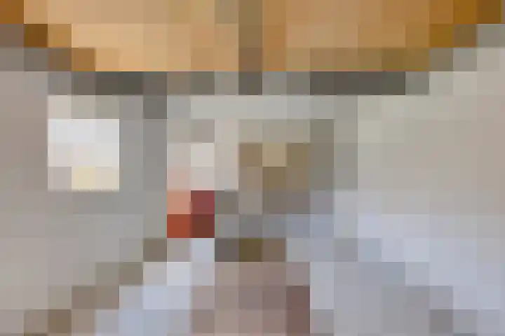 Nieuwstraat 3 Rosmalen thumbnail 34