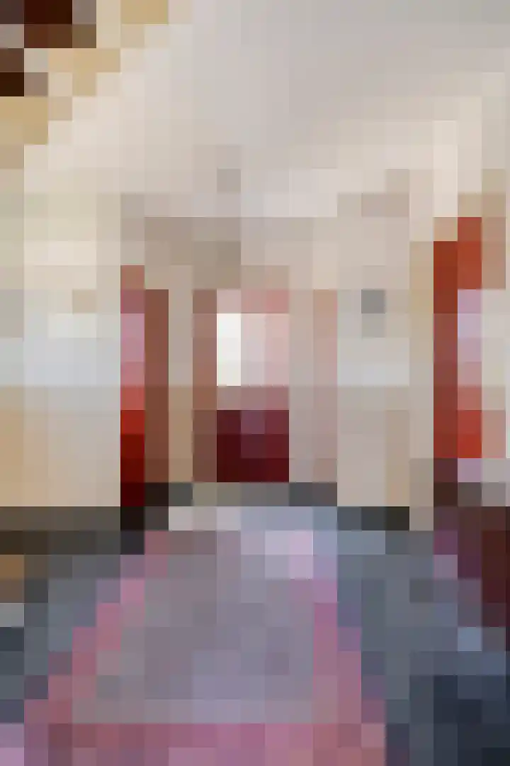 Nieuwstraat 3 Rosmalen thumbnail 4