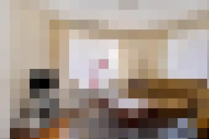 Nieuwstraat 3 Rosmalen thumbnail 5