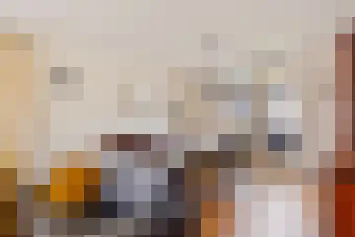 Nieuwstraat 3 Rosmalen thumbnail 6