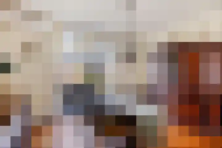 Nieuwstraat 3 Rosmalen thumbnail 8