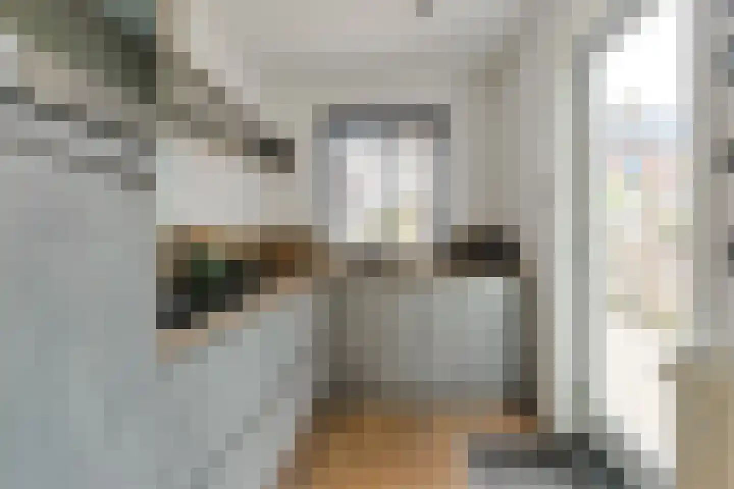 Nieuwstraat 30 Alphen aan den Rijn thumbnail 24