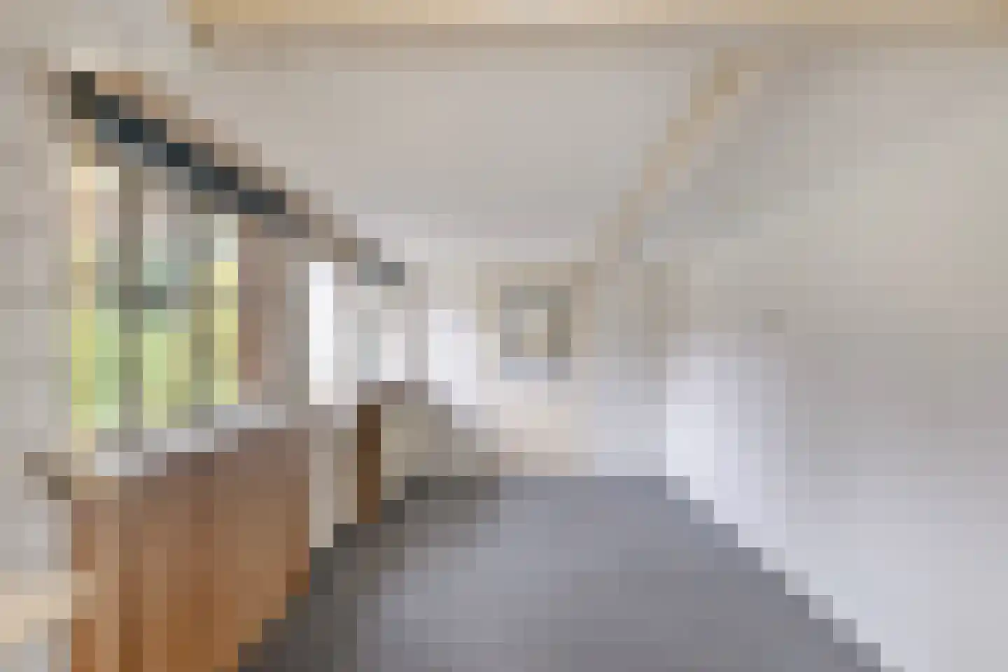 Nieuwstraat 30 Beek en Donk thumbnail 10