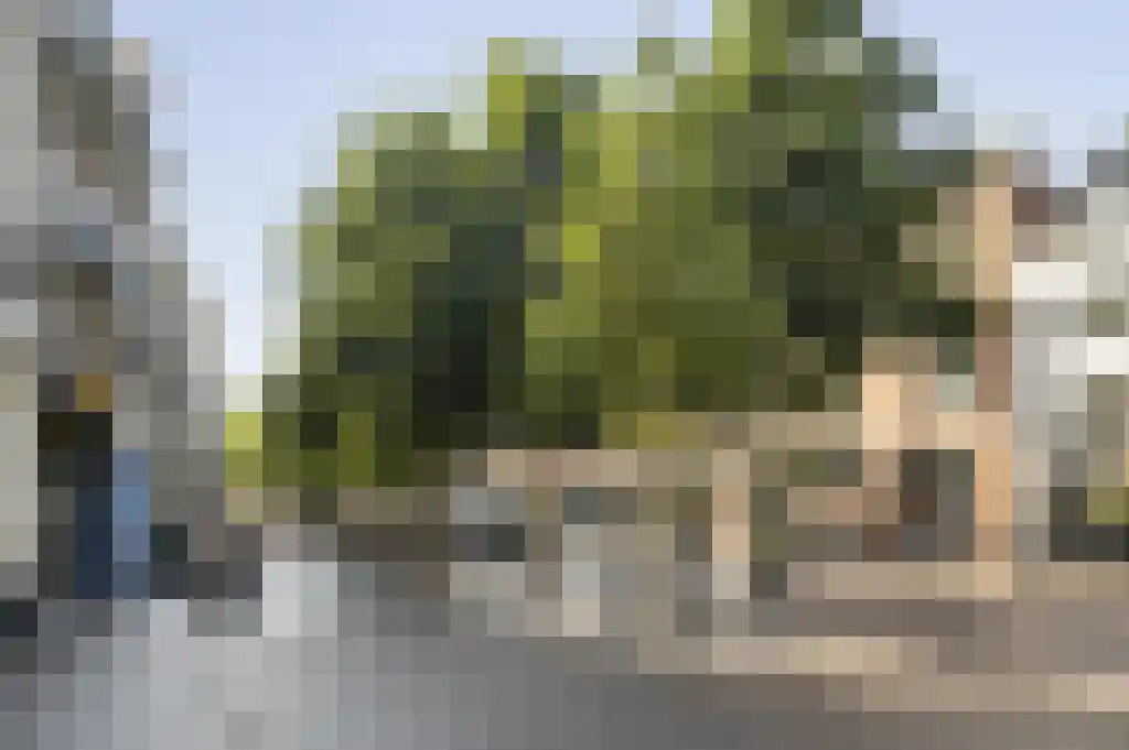 Nieuwstraat 30 F Zwolle thumbnail 29