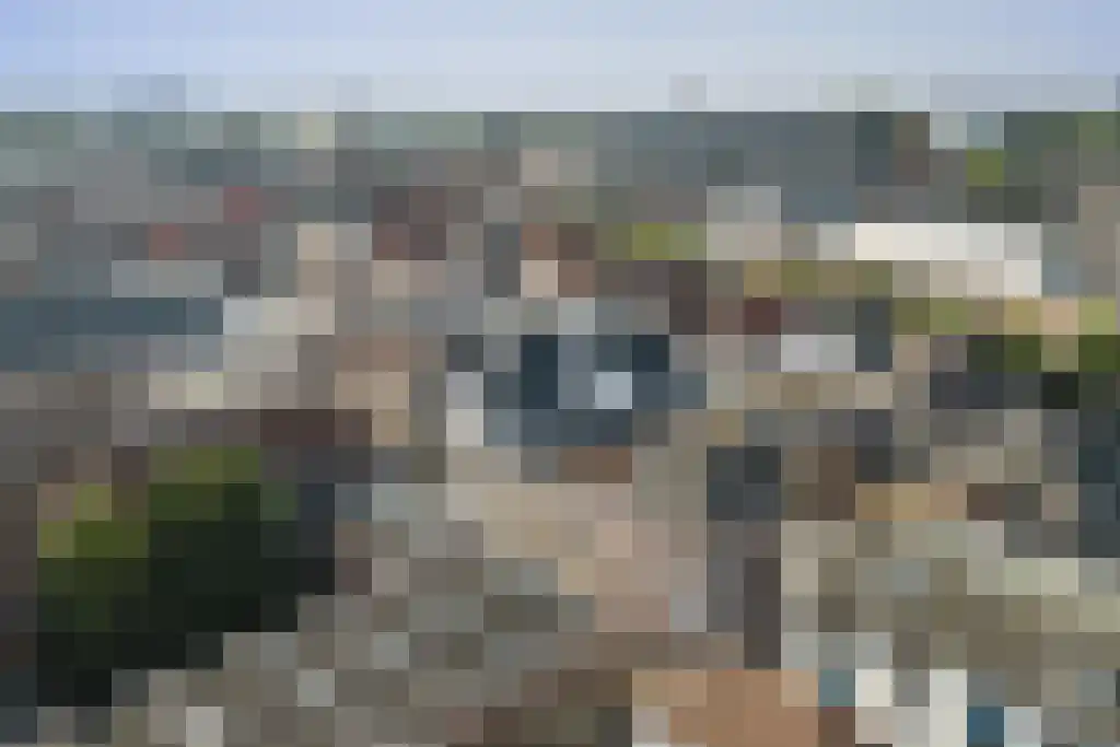 Nieuwstraat 30 F Zwolle thumbnail 31