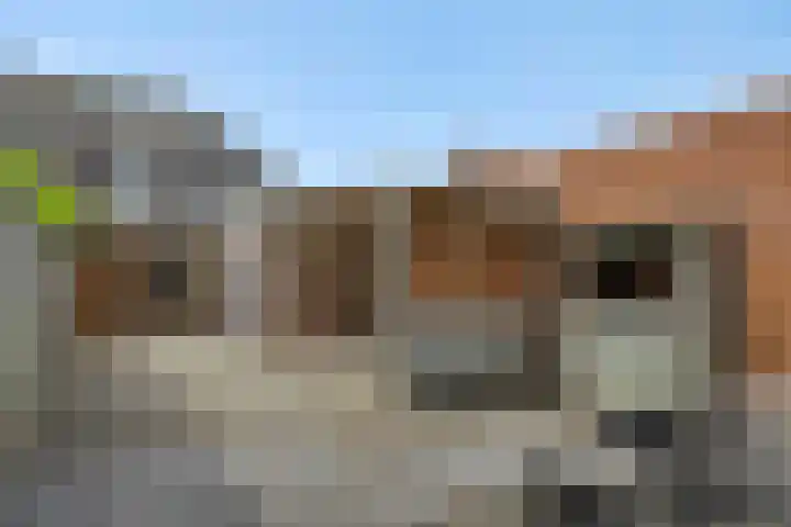 Nieuwstraat 30 Helmond thumbnail 37