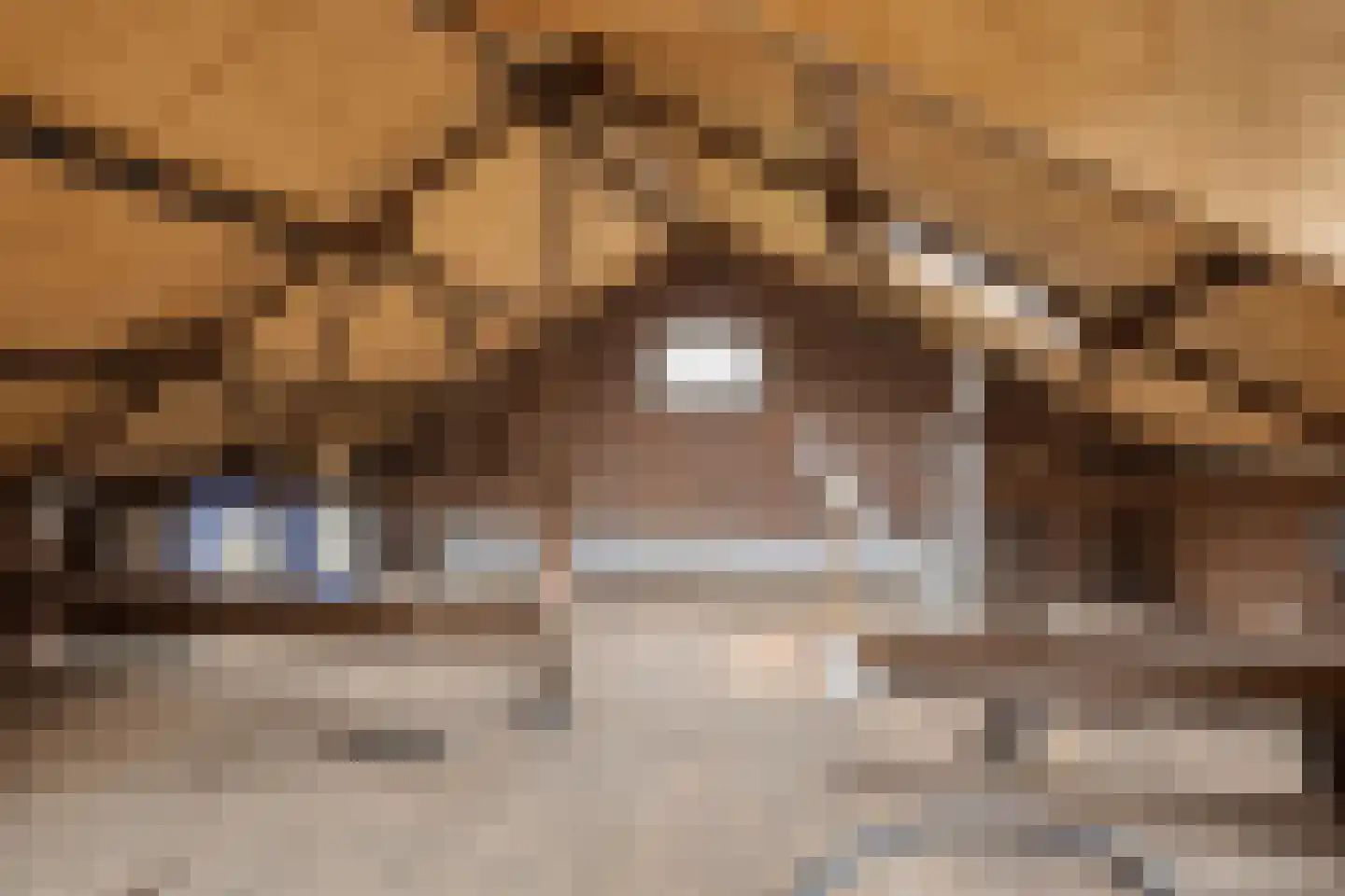 Nieuwstraat 30 Koewacht thumbnail 18