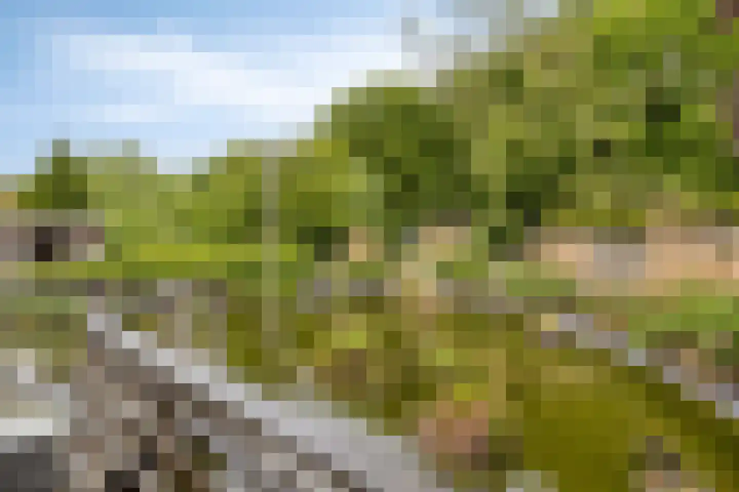 Nieuwstraat 30 Koewacht thumbnail 38