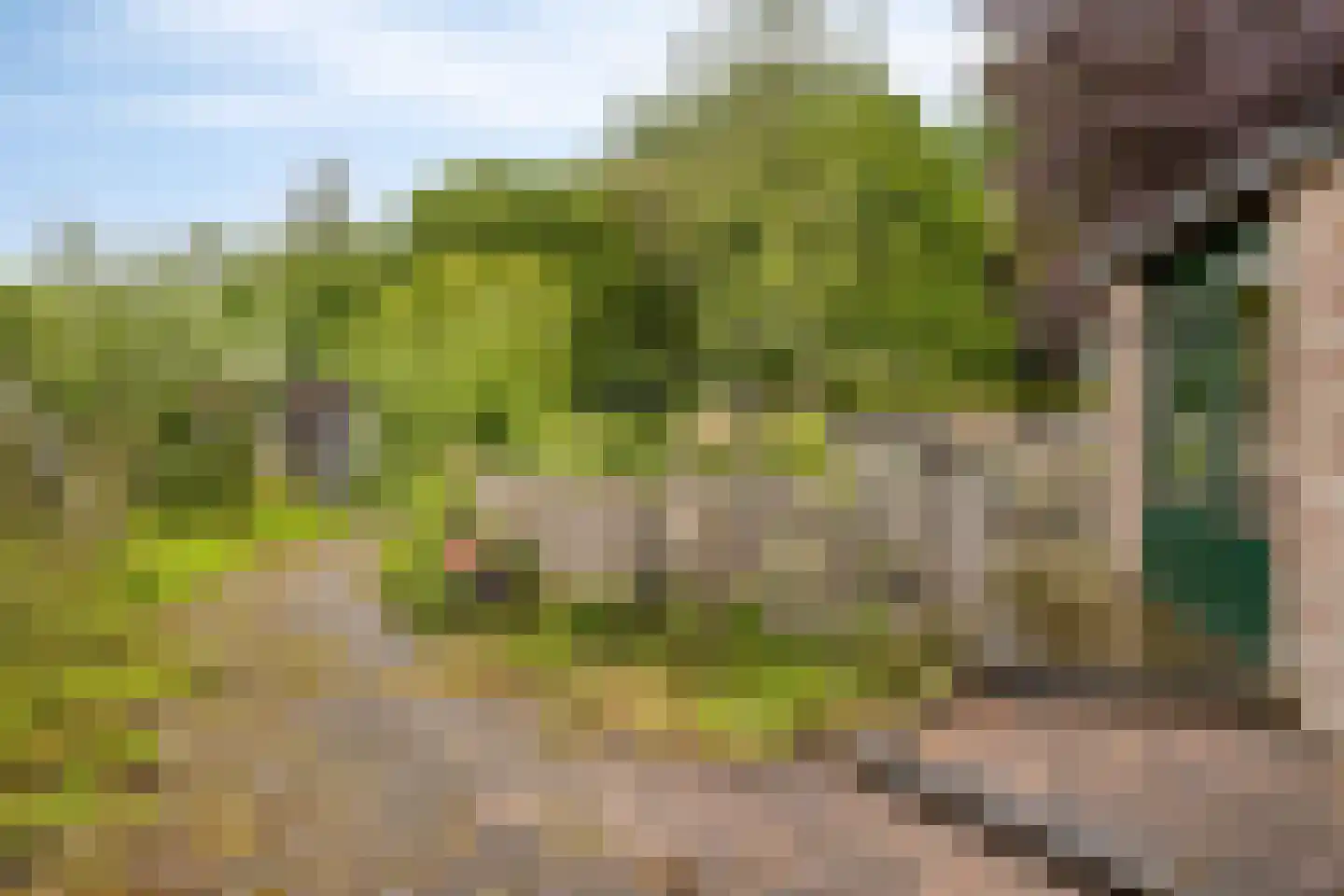 Nieuwstraat 30 Koewacht thumbnail 39
