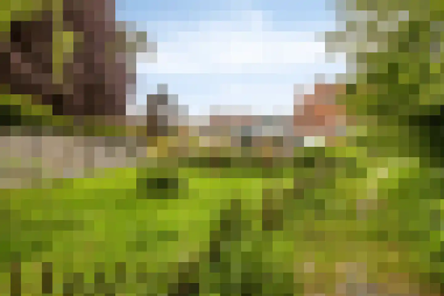Nieuwstraat 30 Koewacht thumbnail 41