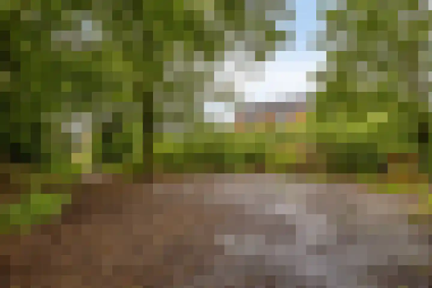 Nieuwstraat 30 Koewacht thumbnail 45