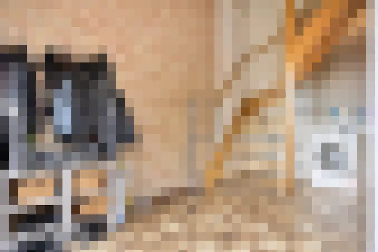 Nieuwstraat 30 Oostburg thumbnail 11