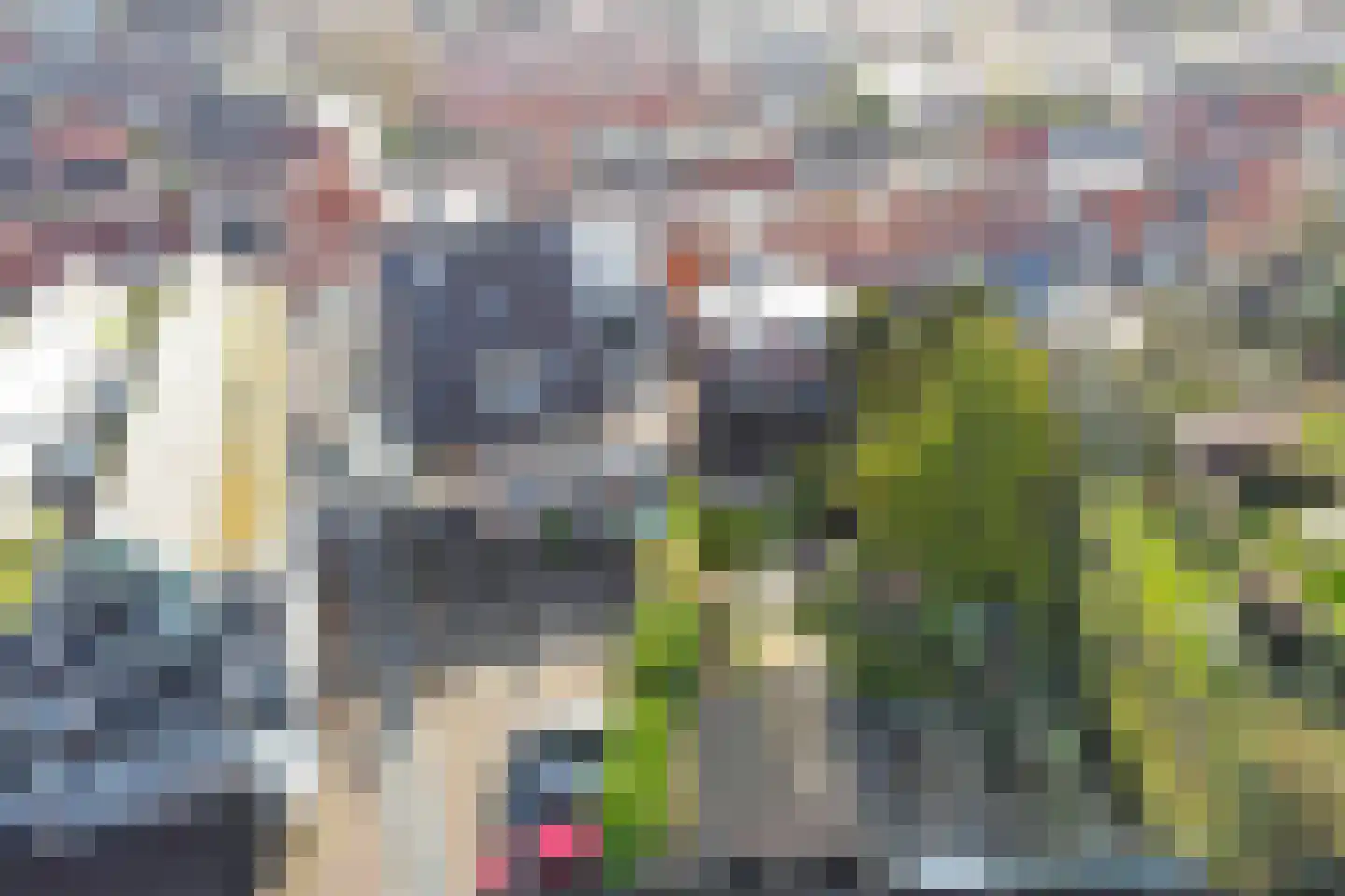 Nieuwstraat 30 Oostburg thumbnail 41