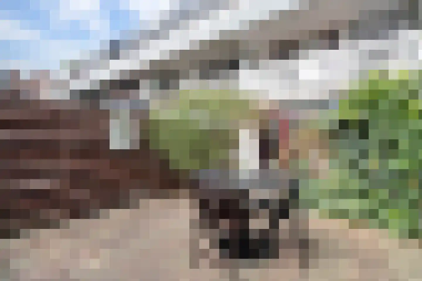 Nieuwstraat 308 Spijkenisse thumbnail 17