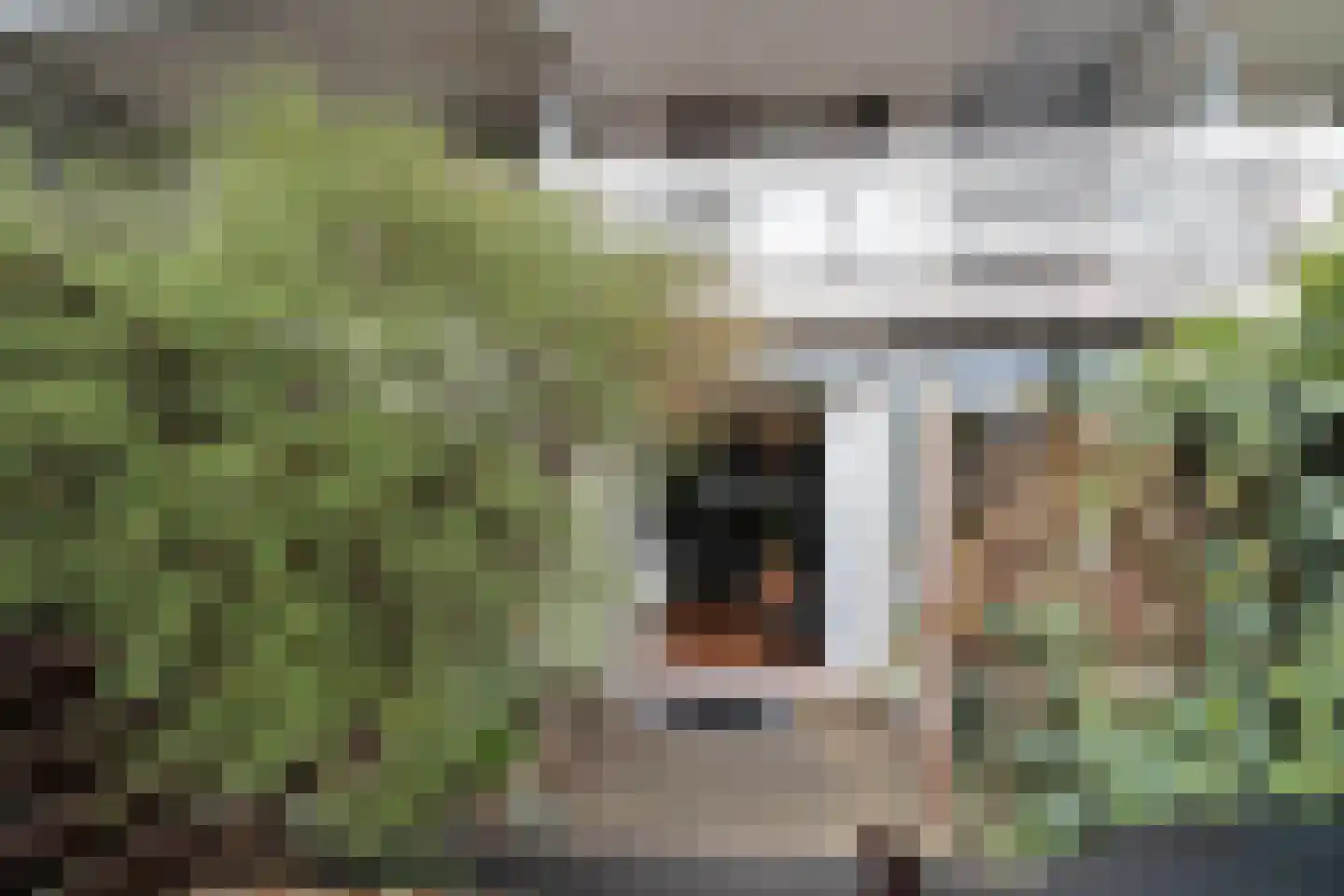 Nieuwstraat 308 Spijkenisse thumbnail 18