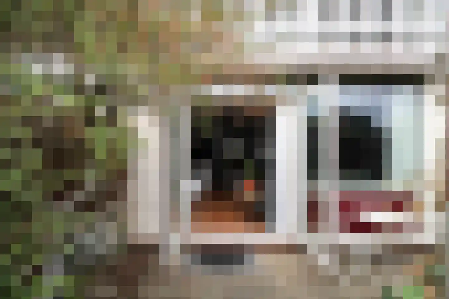 Nieuwstraat 308 Spijkenisse thumbnail 19