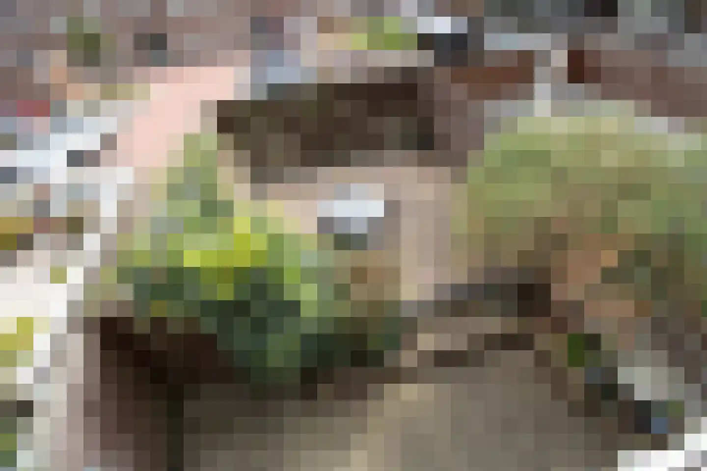 Nieuwstraat 308 Spijkenisse thumbnail 29