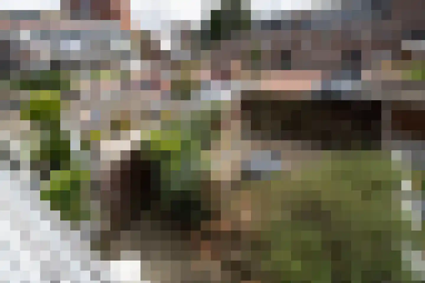 Nieuwstraat 308 Spijkenisse thumbnail 30