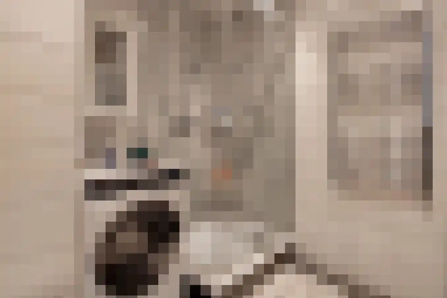Nieuwstraat 308 Spijkenisse thumbnail 35