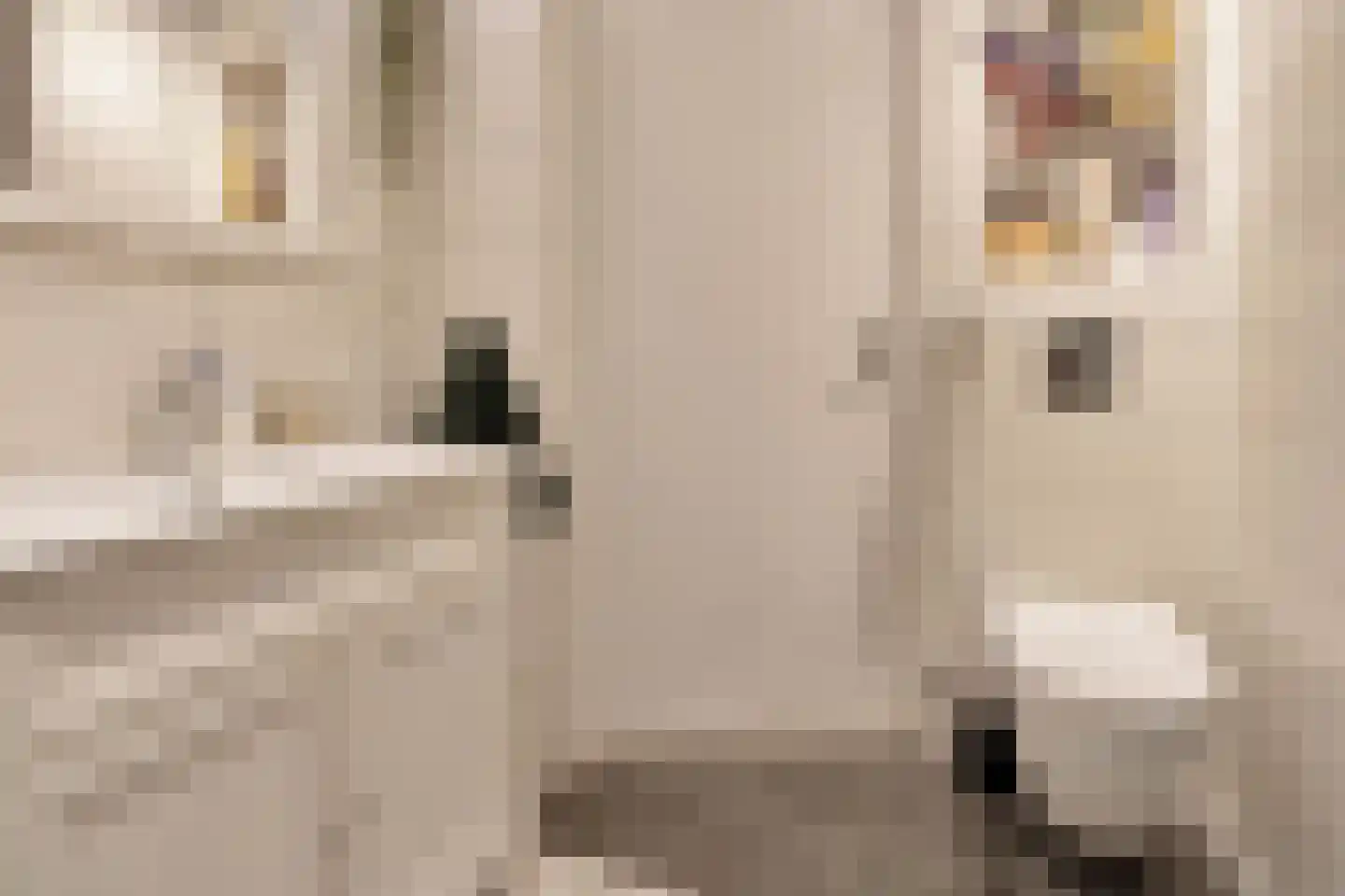 Nieuwstraat 308 Spijkenisse thumbnail 36
