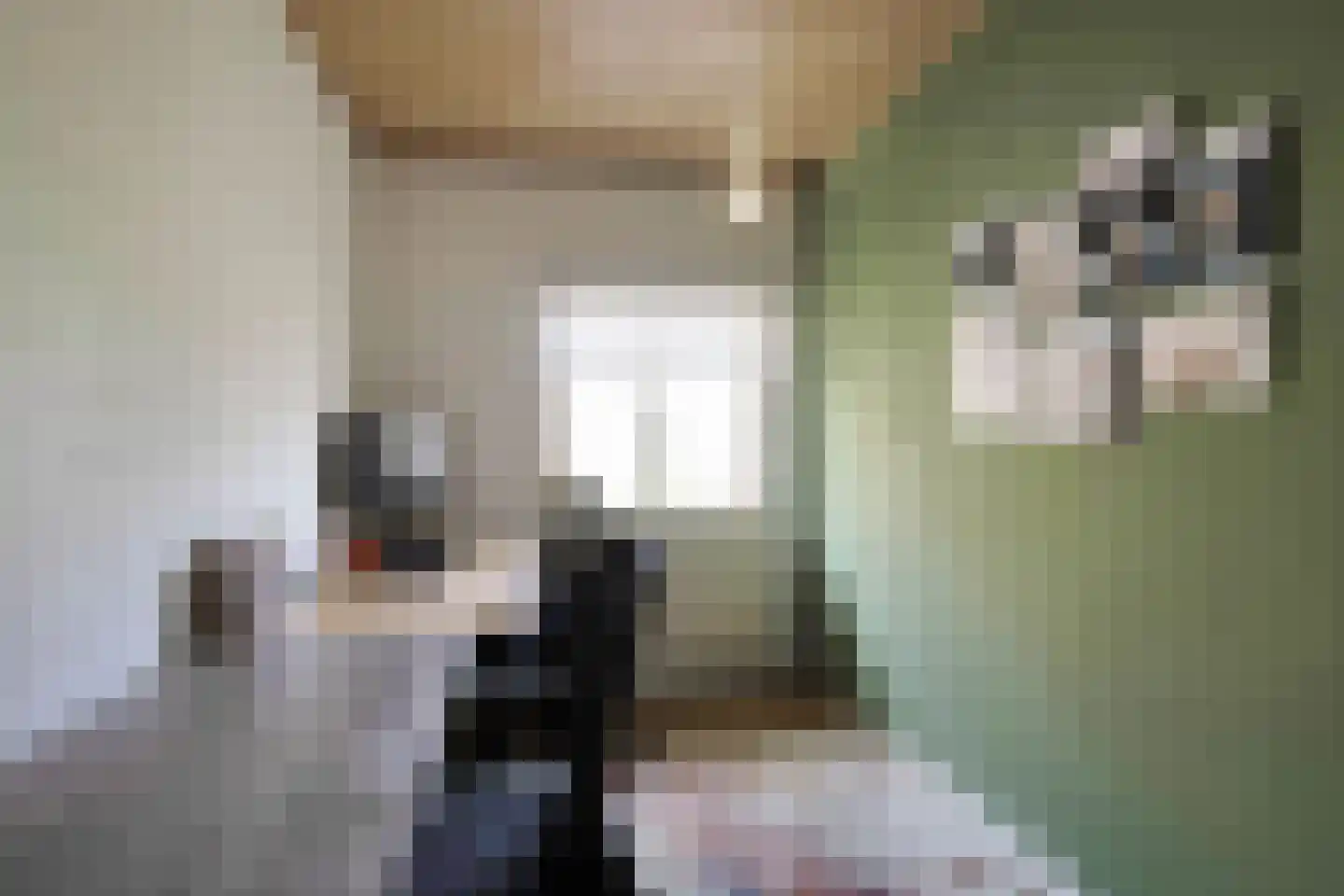 Nieuwstraat 308 Spijkenisse thumbnail 39