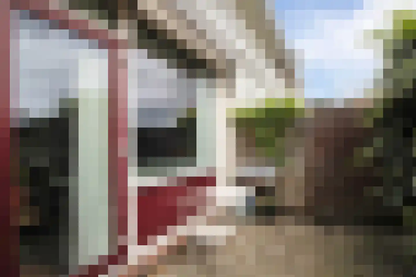 Nieuwstraat 308 Spijkenisse thumbnail 46