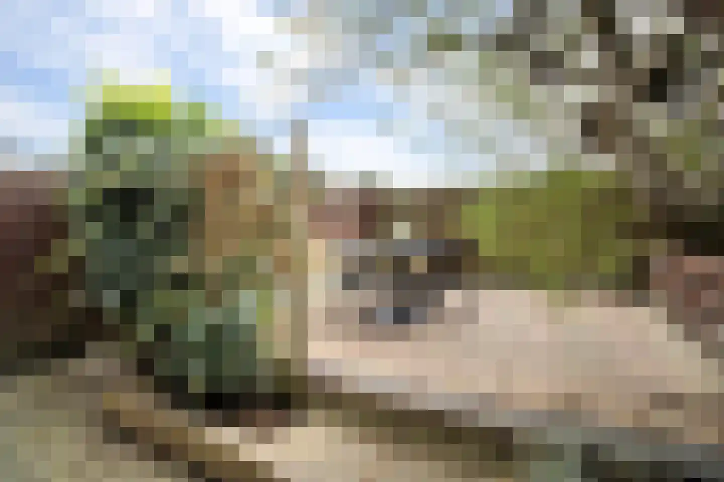 Nieuwstraat 308 Spijkenisse thumbnail 47