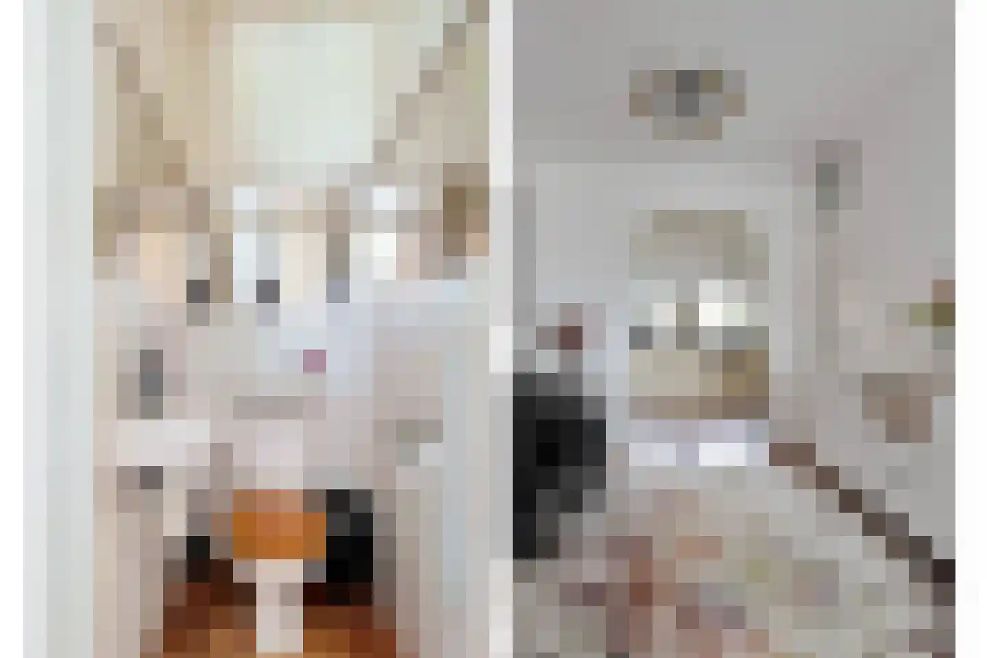 Nieuwstraat 308 Spijkenisse thumbnail 8