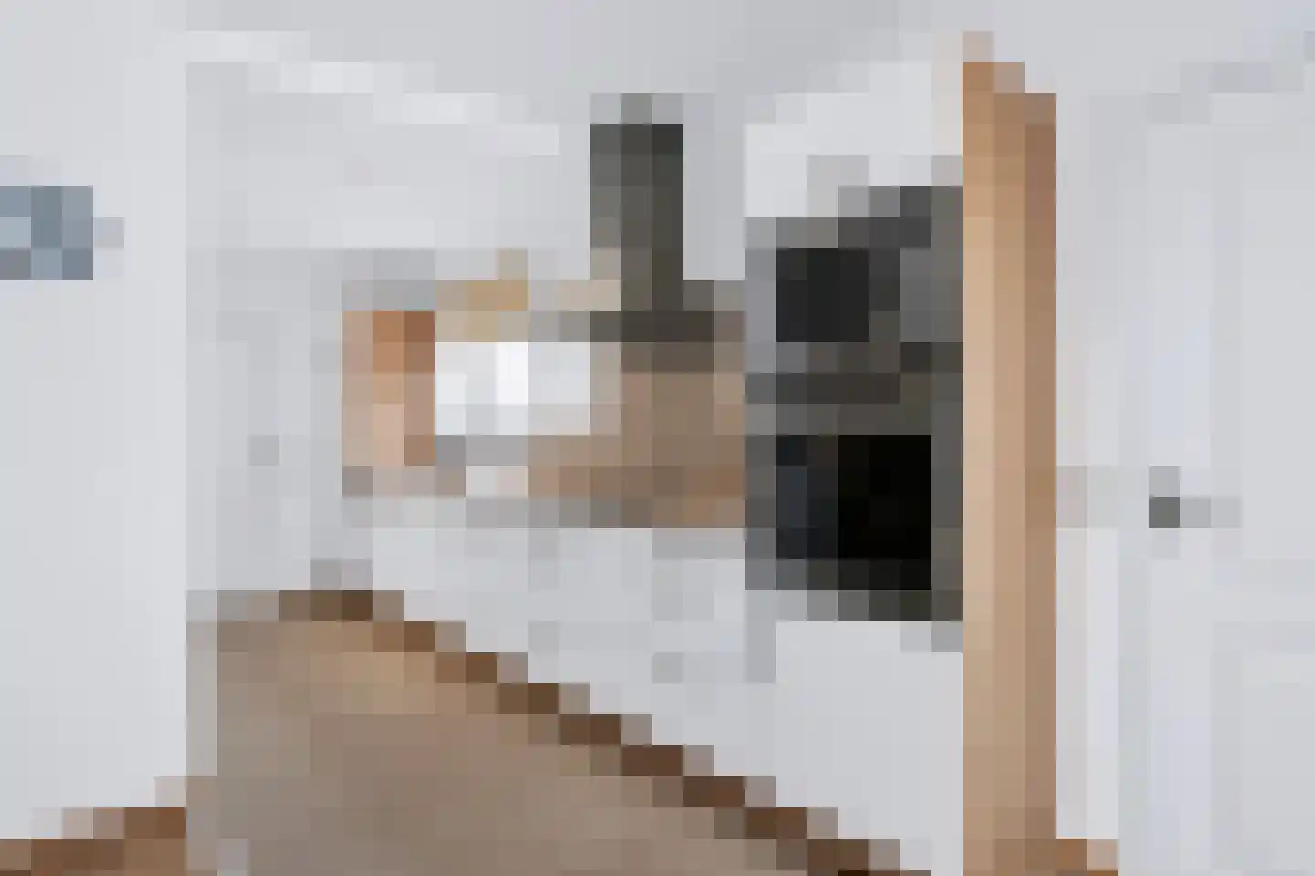 Nieuwstraat 31 Gulpen thumbnail 15