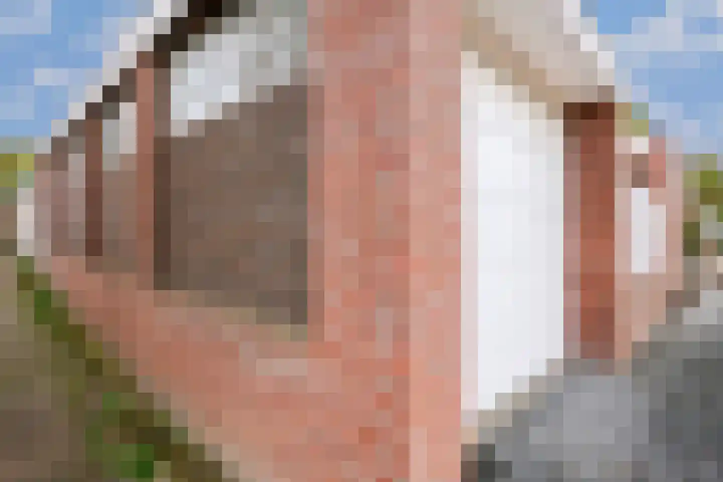 Nieuwstraat 31 Gulpen thumbnail 35