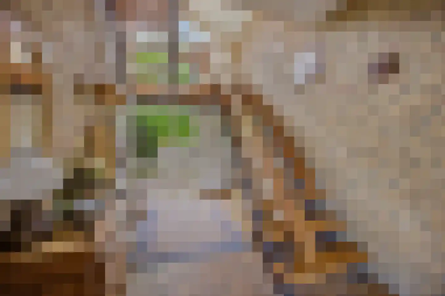 Nieuwstraat 31 Lage Zwaluwe thumbnail 12