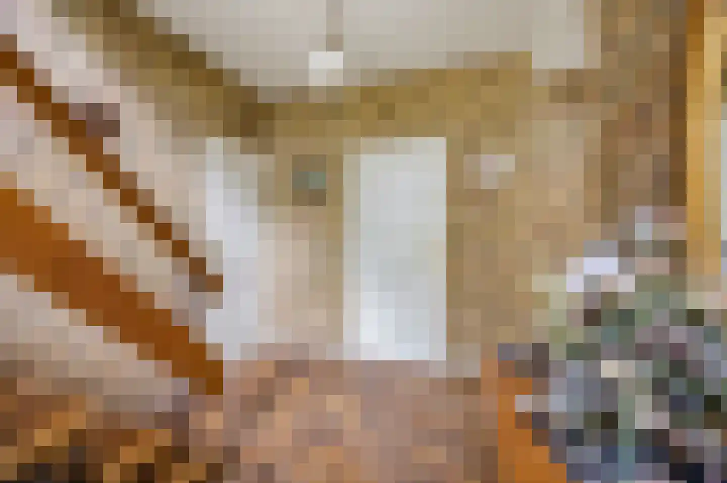 Nieuwstraat 31 Lage Zwaluwe thumbnail 13