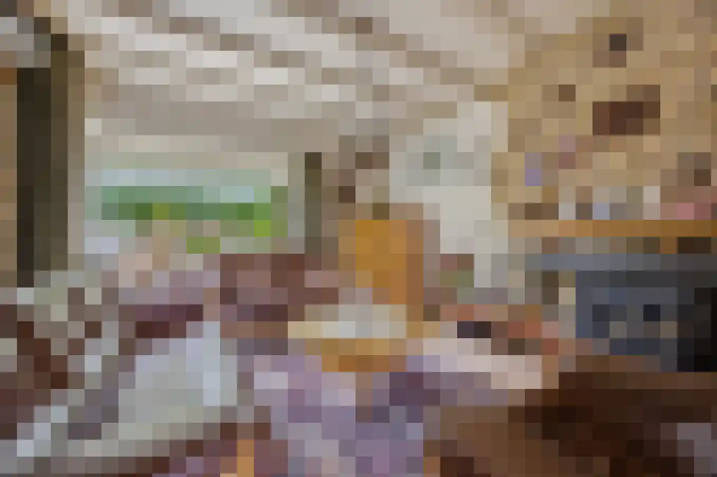 Nieuwstraat 31 Lage Zwaluwe thumbnail 16