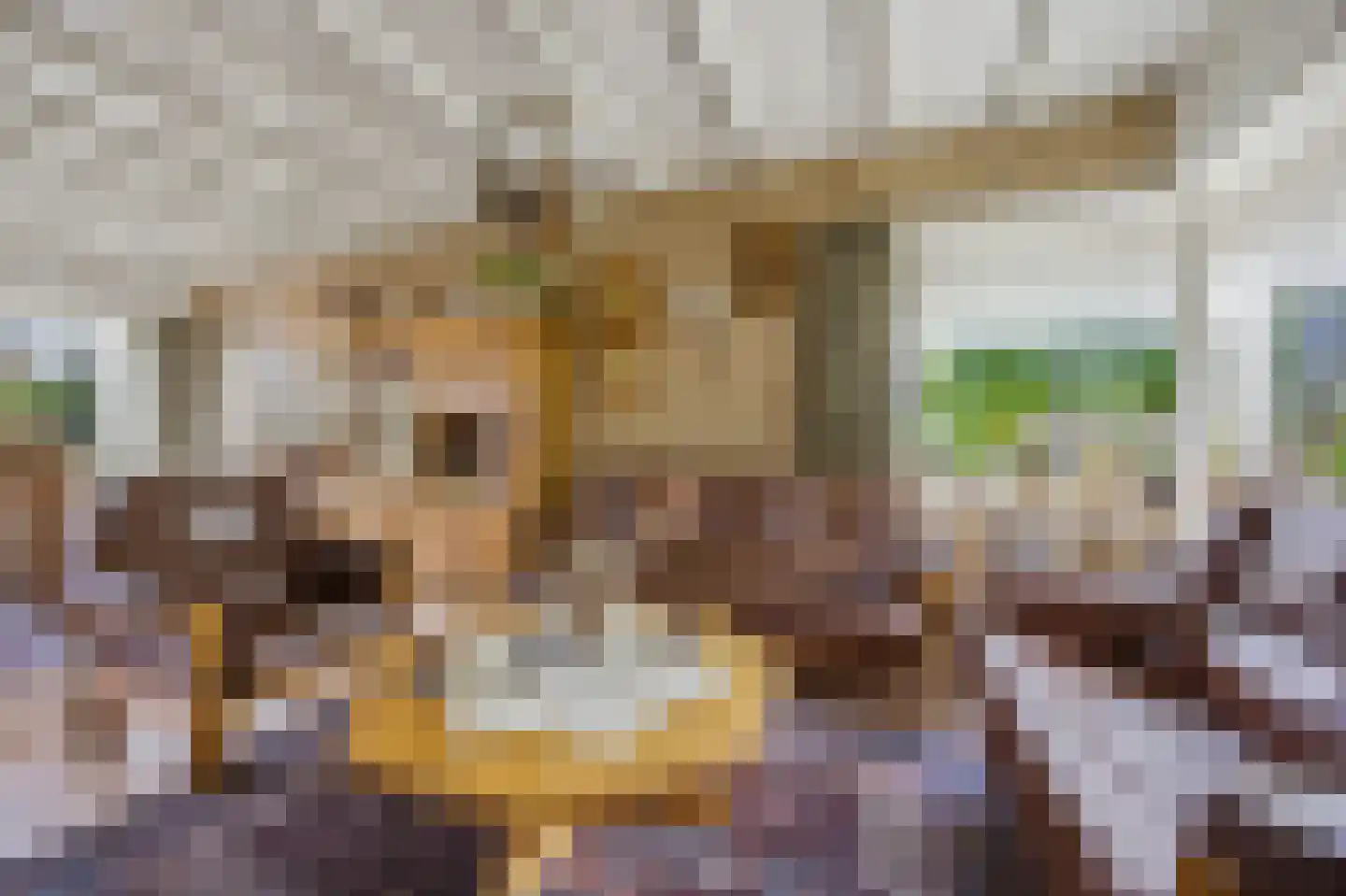 Nieuwstraat 31 Lage Zwaluwe thumbnail 17