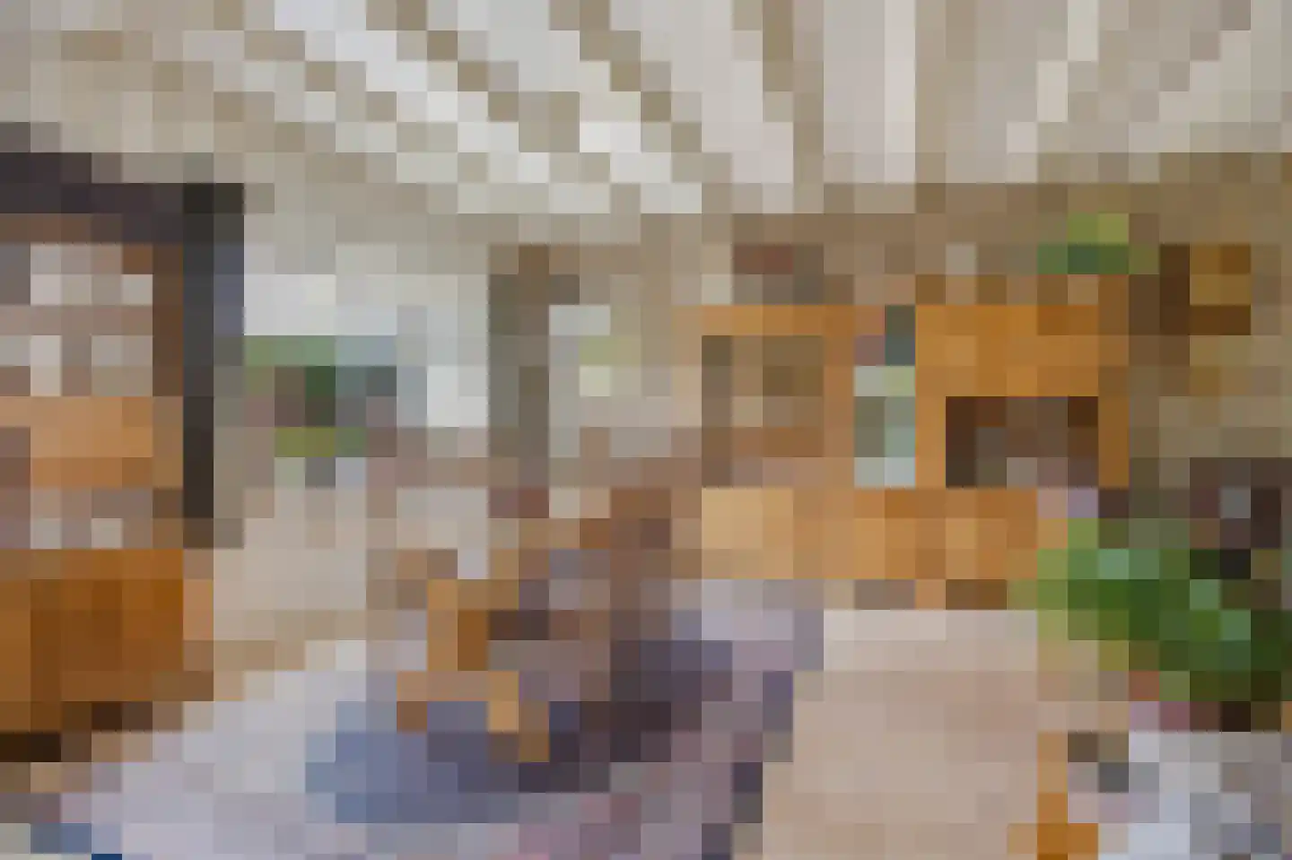 Nieuwstraat 31 Lage Zwaluwe thumbnail 19