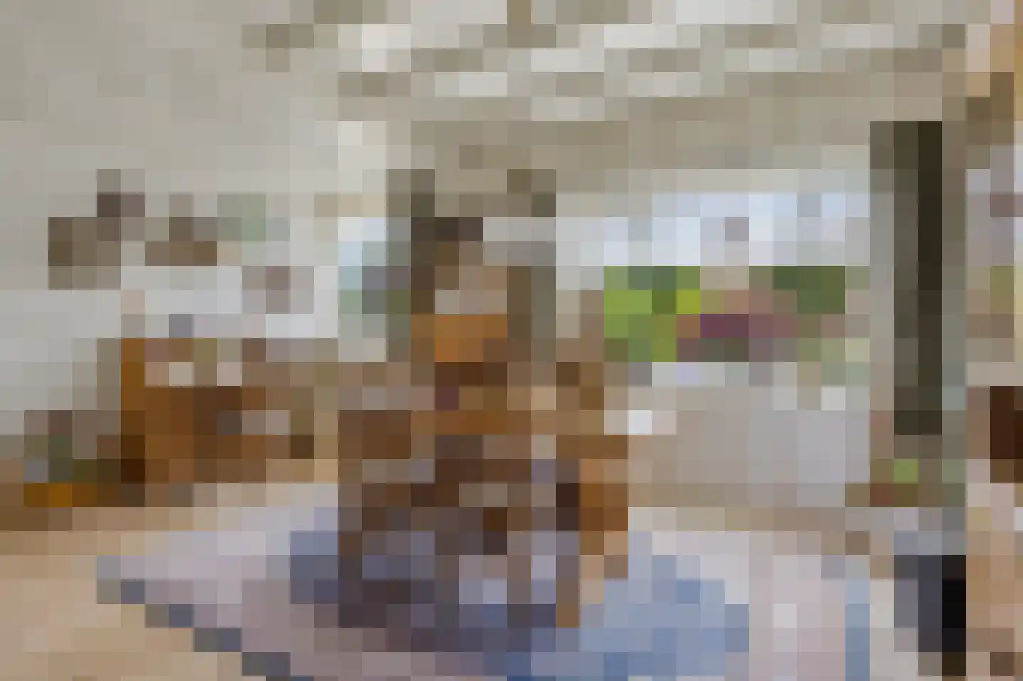 Nieuwstraat 31 Lage Zwaluwe thumbnail 20