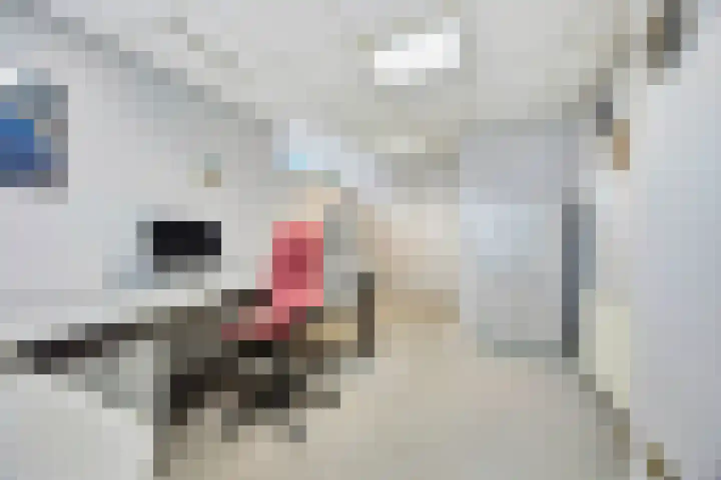 Nieuwstraat 31 Lage Zwaluwe thumbnail 28