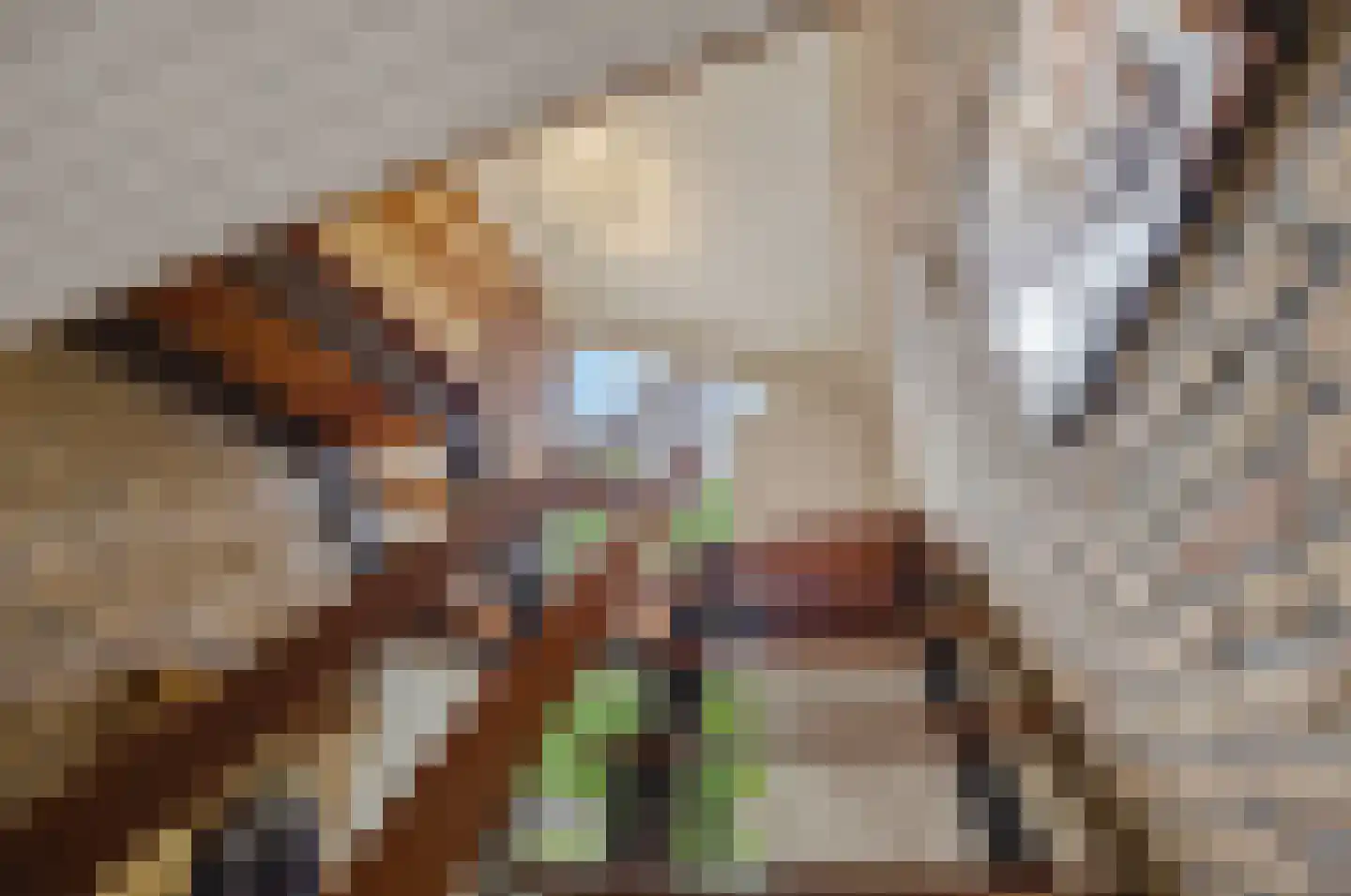 Nieuwstraat 31 Lage Zwaluwe thumbnail 29