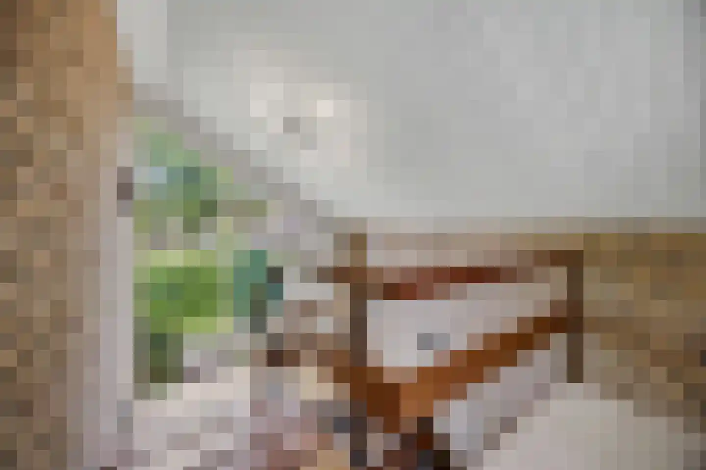 Nieuwstraat 31 Lage Zwaluwe thumbnail 30