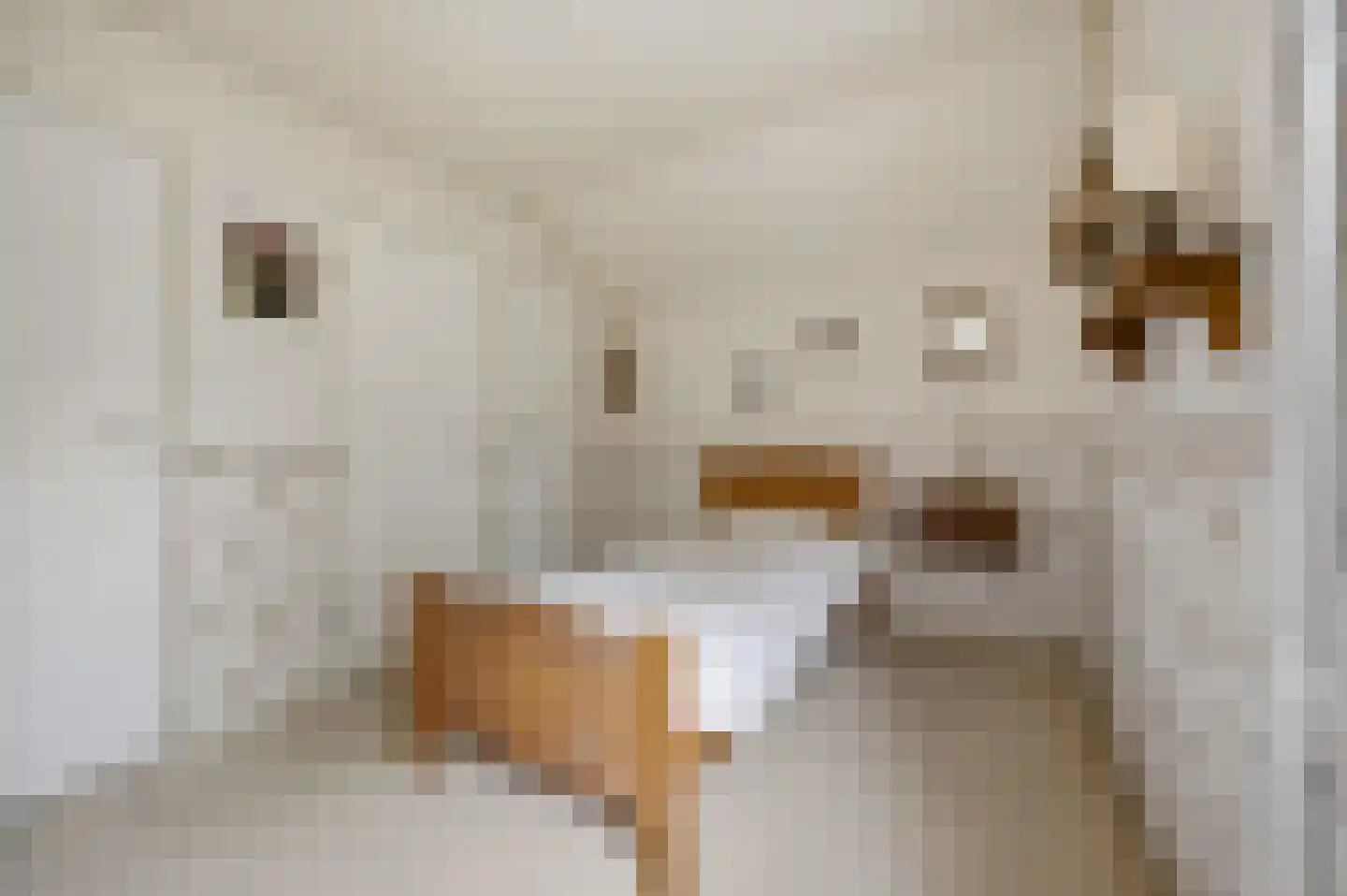 Nieuwstraat 31 Lage Zwaluwe thumbnail 38
