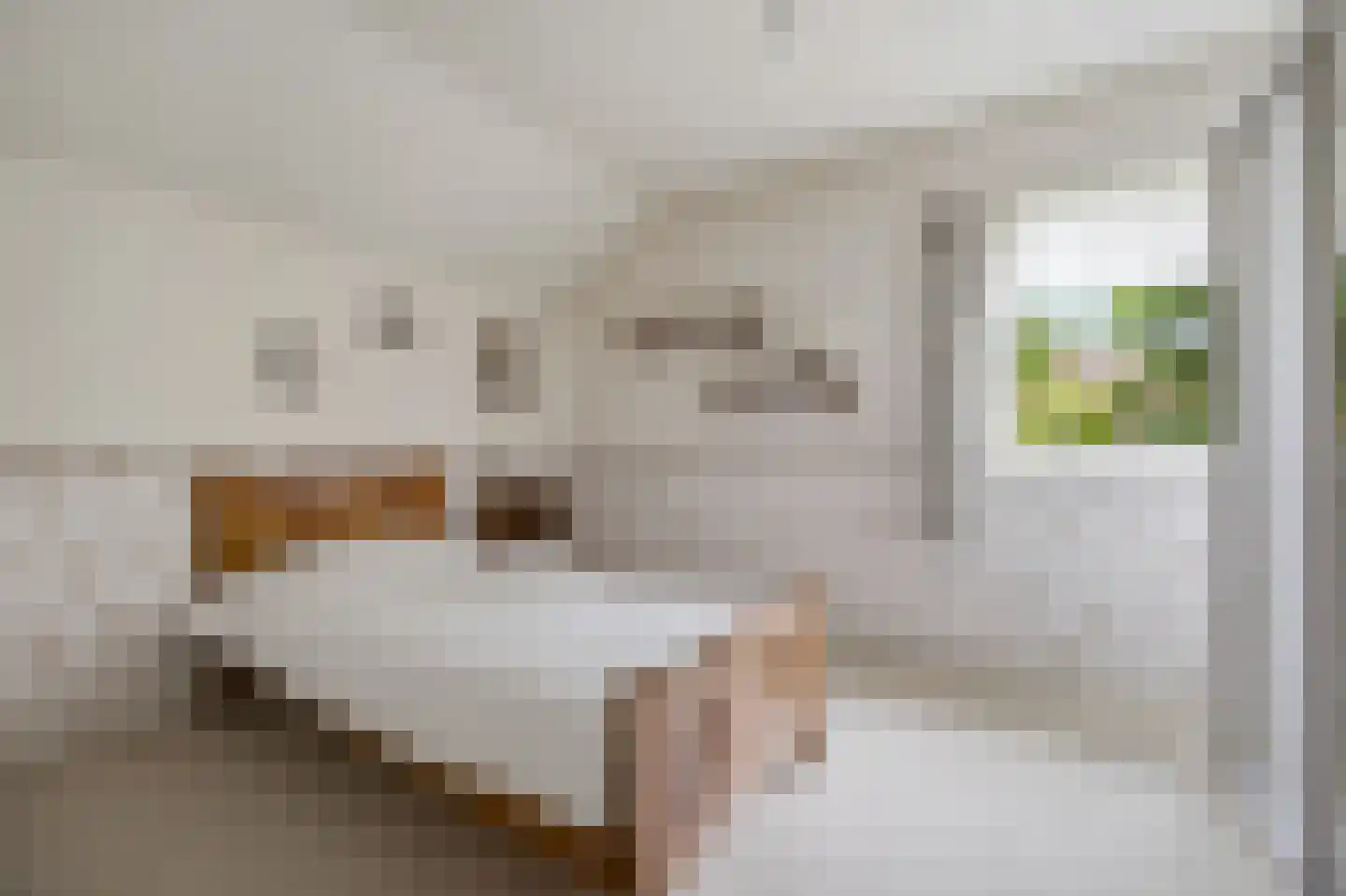 Nieuwstraat 31 Lage Zwaluwe thumbnail 39