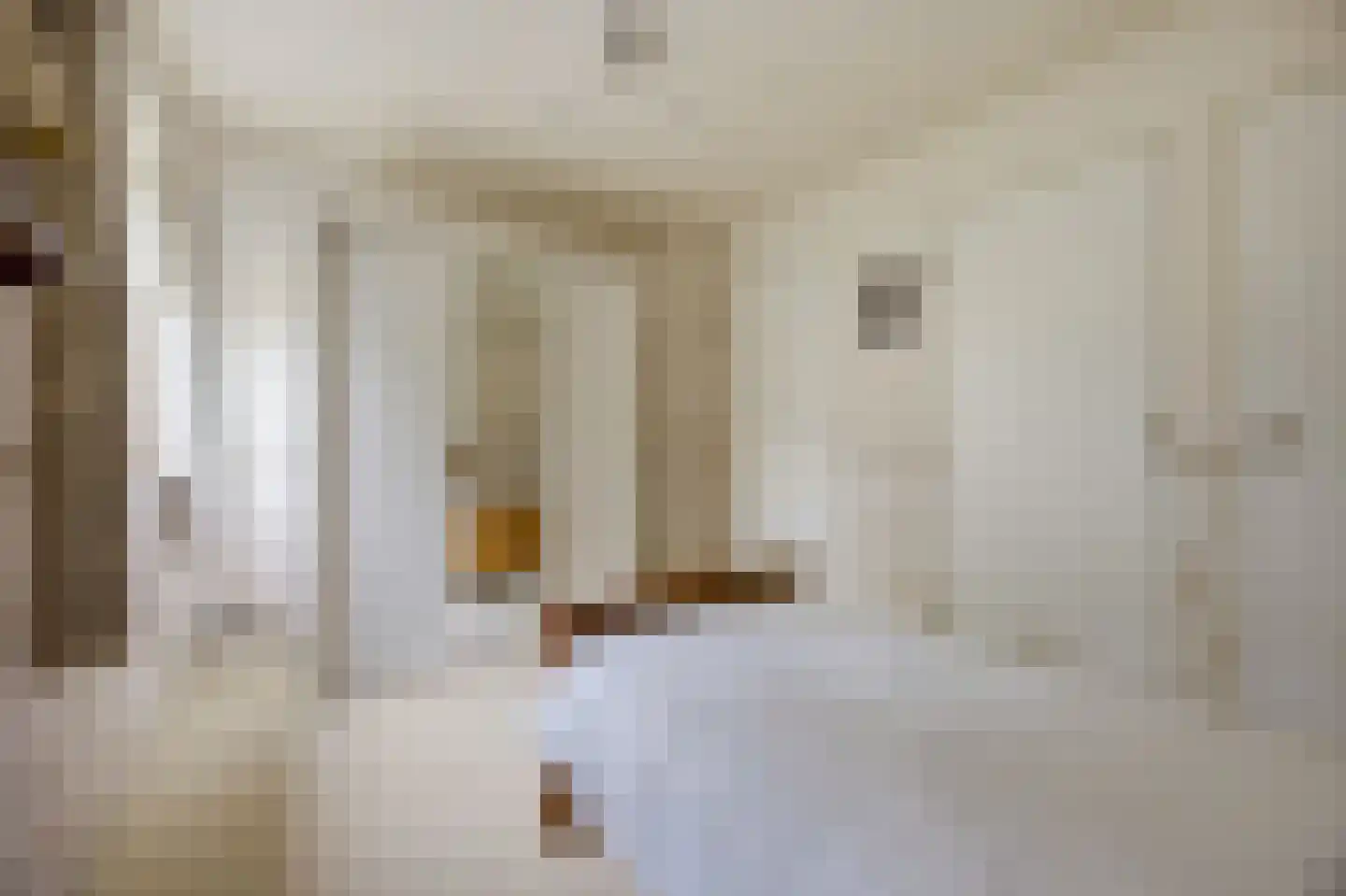Nieuwstraat 31 Lage Zwaluwe thumbnail 40