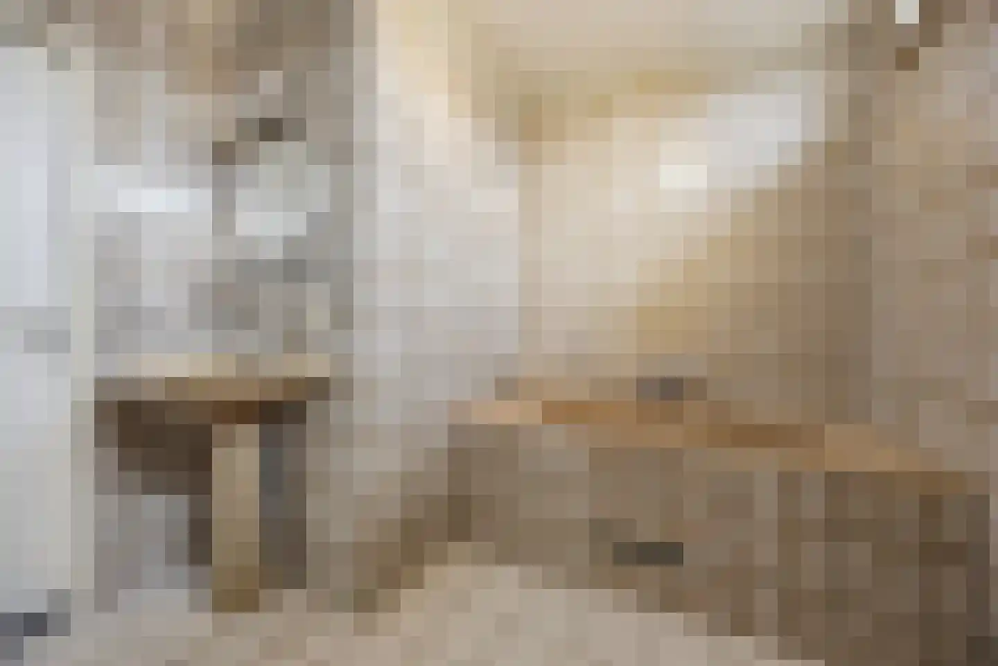 Nieuwstraat 31 Lage Zwaluwe thumbnail 48
