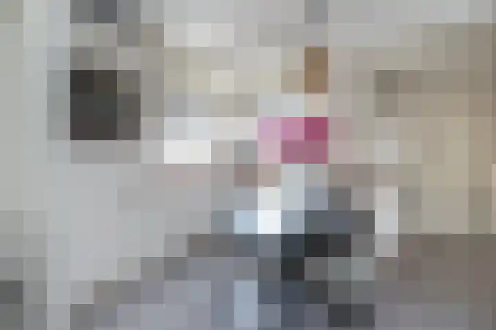Nieuwstraat 31 Oude-Tonge thumbnail 11