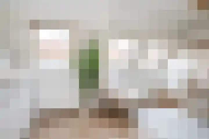 Nieuwstraat 31 Oude-Tonge thumbnail 20