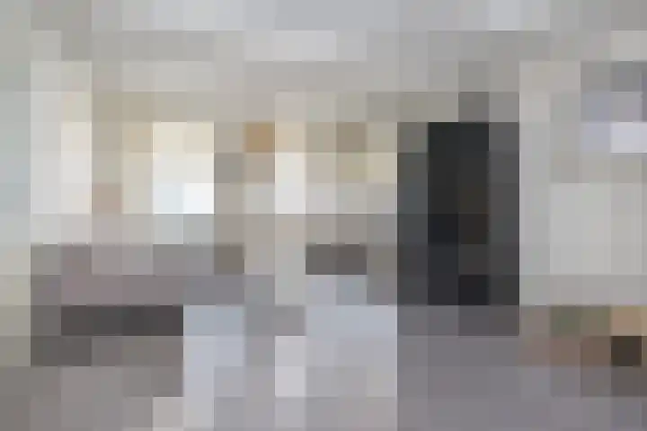 Nieuwstraat 31 Oude-Tonge thumbnail 6